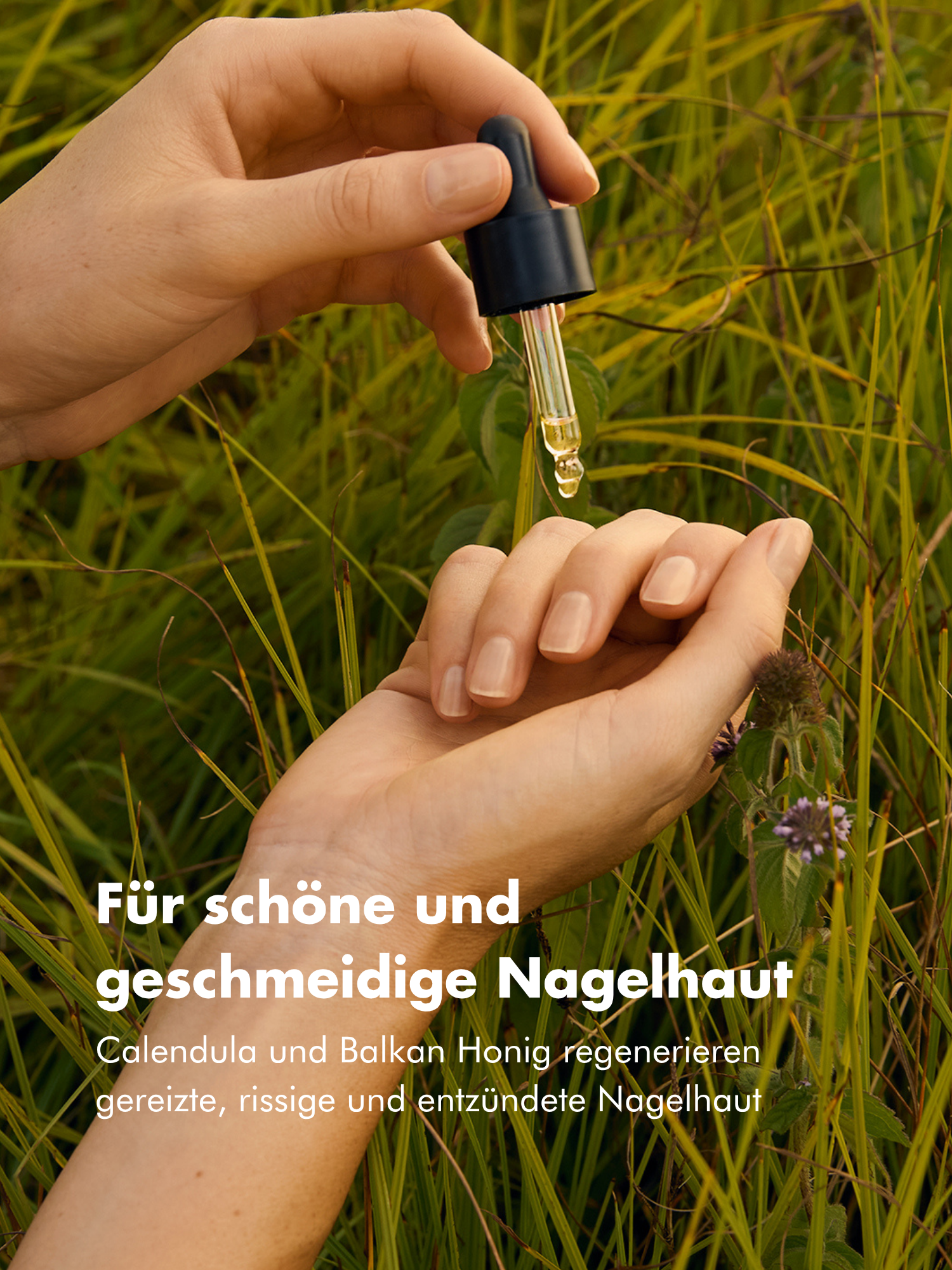 Nail Repair Oil